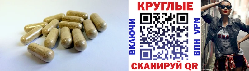 где продают наркотики  Берёзовка  ЭКСТАЗИ 280 MDMA 