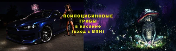 мяу мяу мука Абаза