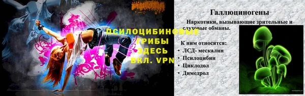 мяу мяу мука Абаза