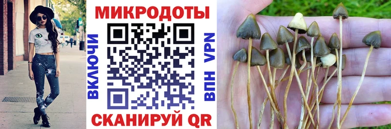 MEGA ссылки купить наркотик Берёзовка Псилоцибиновые грибы Psilocybine cubensis