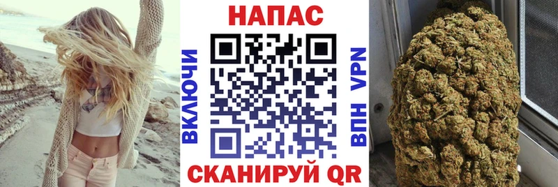 Конопля OG Kush  наркотики  Берёзовка 